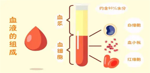 详细描述